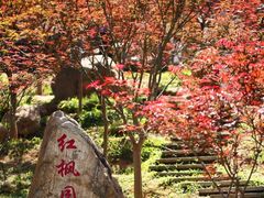 -广州市帽峰山景区