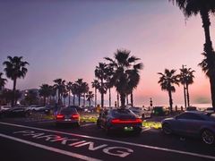 -王阿姨文昌油赞子(府桥街店)
