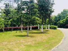 -九里河湿地公园