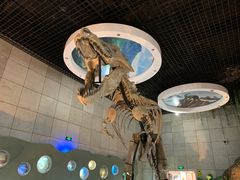 -诸城市恐龙博物馆