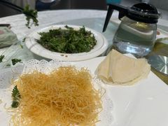 -丁老爷子苏香圆