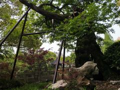 -汇龙潭