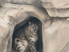 -青藏高原野生动物园
