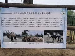 -青藏高原野生动物园