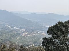 -旺山景区