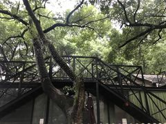 -凤凰御元艺术基地