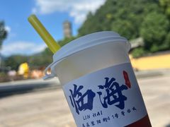 -紫阳古街