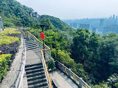 -南山植物园