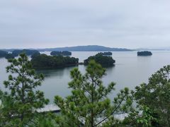 -柘林湖生态鱼馆