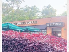 -星巴克(西藏路店)