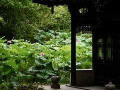 -SPA·印象足道养生(大运河度假区四望亭店)