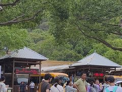 -普陀山风景名胜区-法雨禅寺