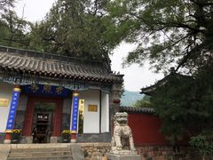 -泰山风景名胜区-普照寺