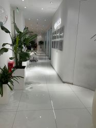 -agge蛋白医美