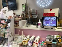 -70cat德文卷毛猫·缅因猫纯种猫舍