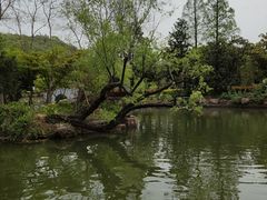 -狼山风景名胜区