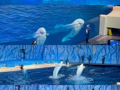 -珠海长隆海洋王国