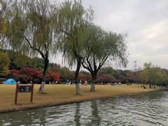 -上海方塔园