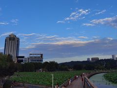 -月湖风景区