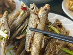 -晓琦农家菜馆·地道农家菜