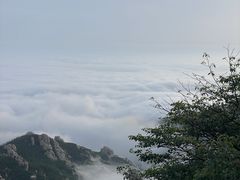 -崂山巨峰游览区