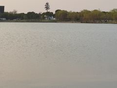 -漕湖湿地公园