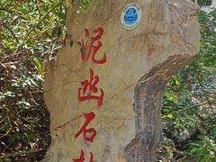 -泥凼石林风景区