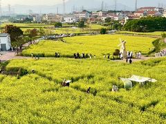 -白鹭洲公园