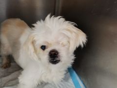 -天津前进宠物医院(前进道店)