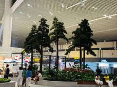 -青岛胶东国际机场