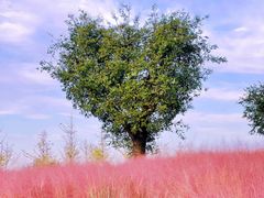 -汉长安城未央宫国家考古遗址公园