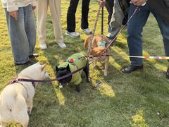 -上海神旺大酒店