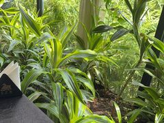 -太守宴·蘭院(天塔店)