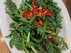 -粤香村(清真川菜店)