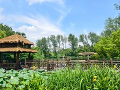 -溱湖国家湿地公园