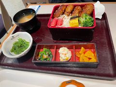 -dodonpa.墩墩伐 便当食堂(博华广场店)