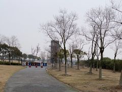 -春花秋色城市公园