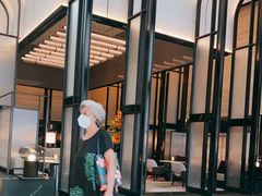 -新加坡乌节希尔顿酒店 (SG Clean)