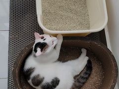 -观音桥步行街