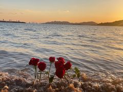 -青岛第二海水浴场