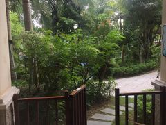 -惠州金海湾嘉华度假酒店