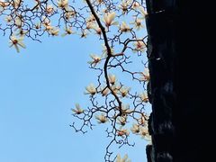-法海禅寺