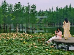 -白鹭湾湿地公园