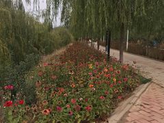 -赤峰市图书馆