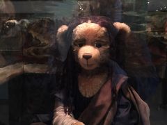 -济州岛泰迪熊博物馆