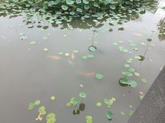 -武汉园博园(武汉自然博物馆)