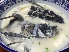 -全乐鱼馆·淳牌有机鱼直营店