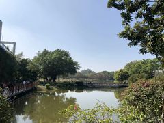 -东莞植物园
