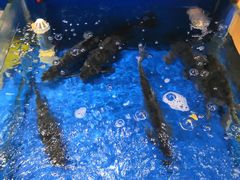 -姜君·千岛湖鱼头馆(浦东大道店)
