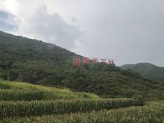 -铜川市金锁关石林